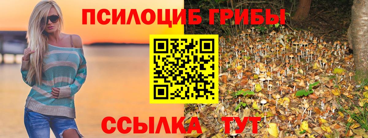 Горно-Алтайск  Галлюциногенные грибы MAGIC MUSHROOMS  Вход с VPN 