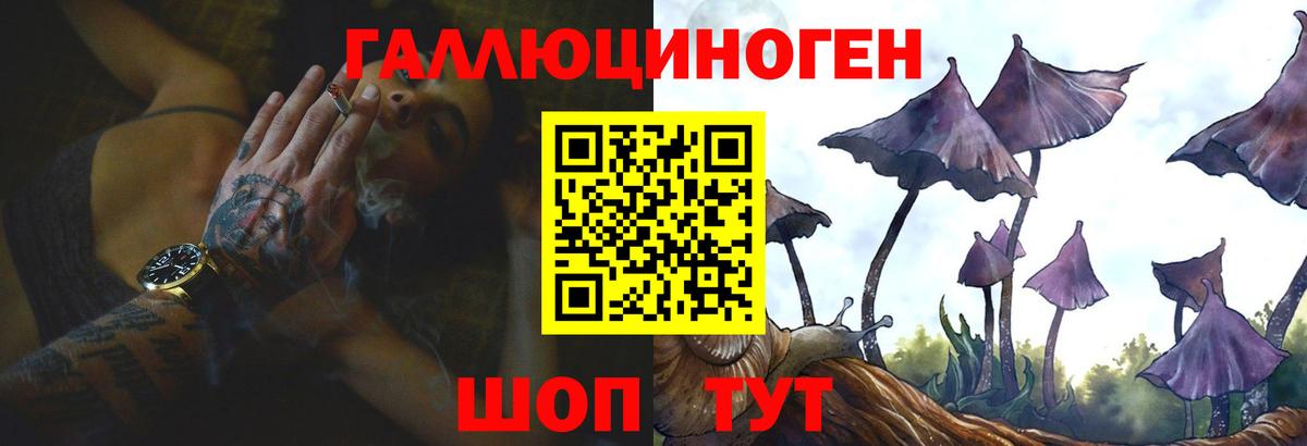 Псилоцибиновые грибы Cubensis Горно-Алтайск